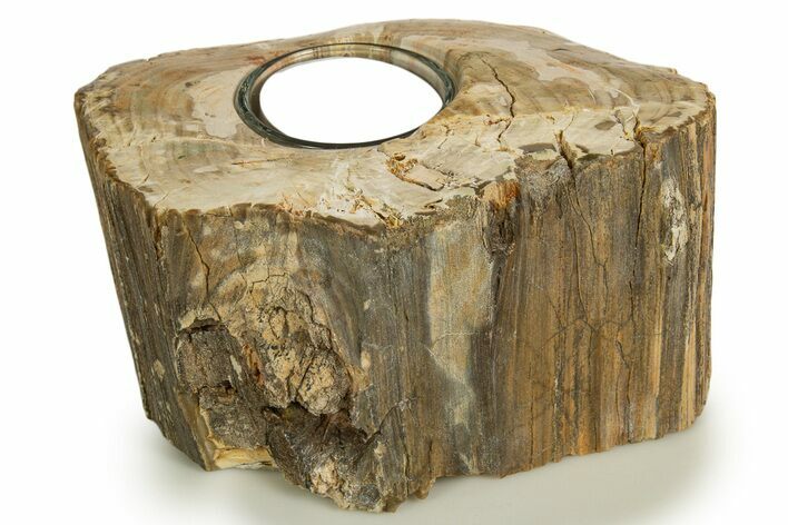 Polished Petrified Wood Candle Holder - Madagascar #337922